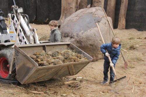 Help de dierverzorger