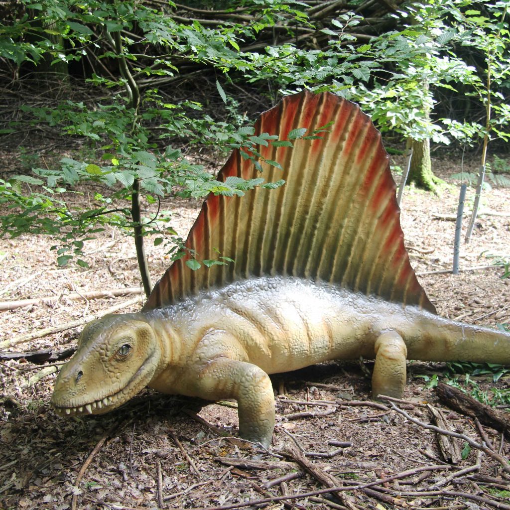 Dinopark met levensgrote dino's DierenPark Amersfoort Dinopark met levensgrote dino's DierenPark Amersfoort