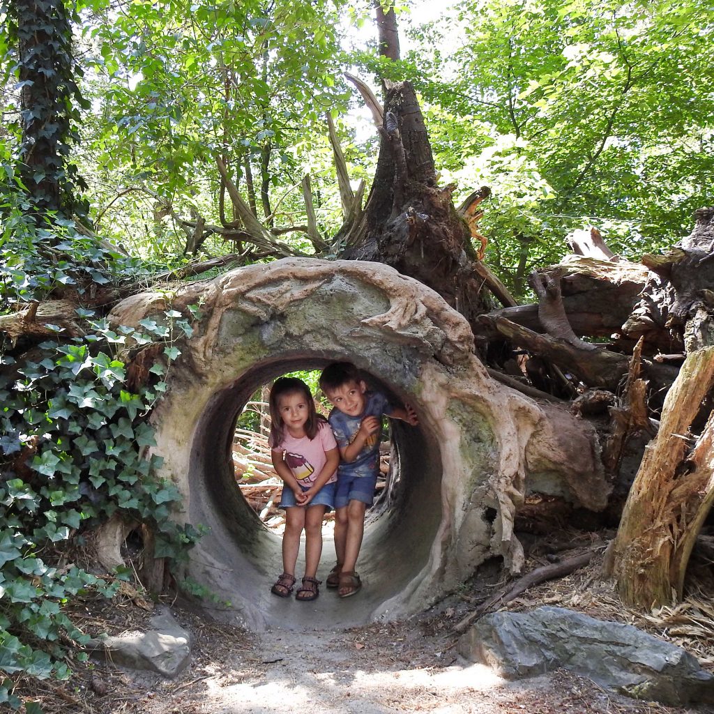 kinderen in boomgrot