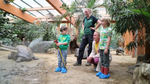Verzorger en bezoekers kijken mee