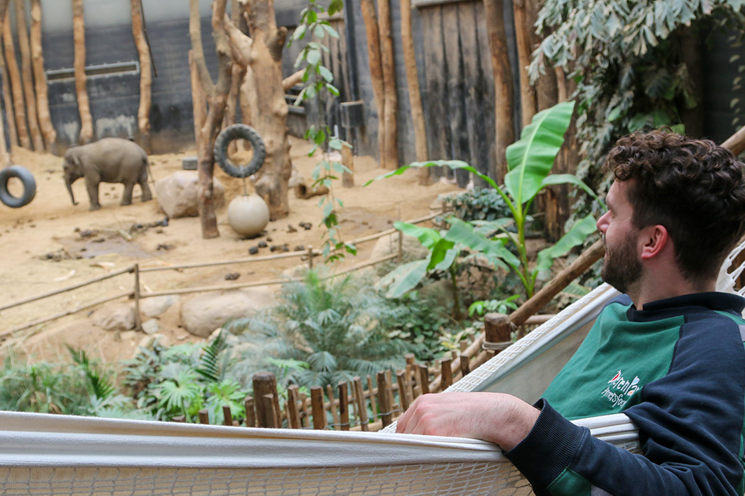 Nog even wachten | DierenPark Amersfoort