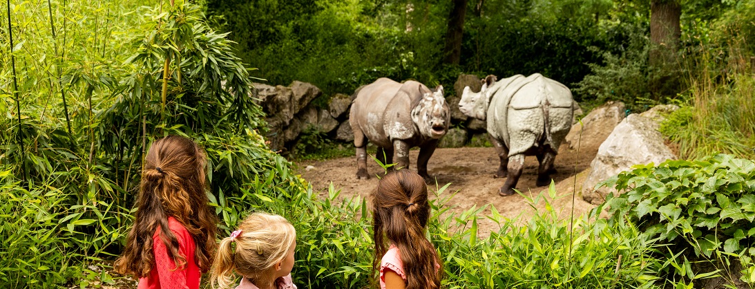 Neushoorn en kinderen