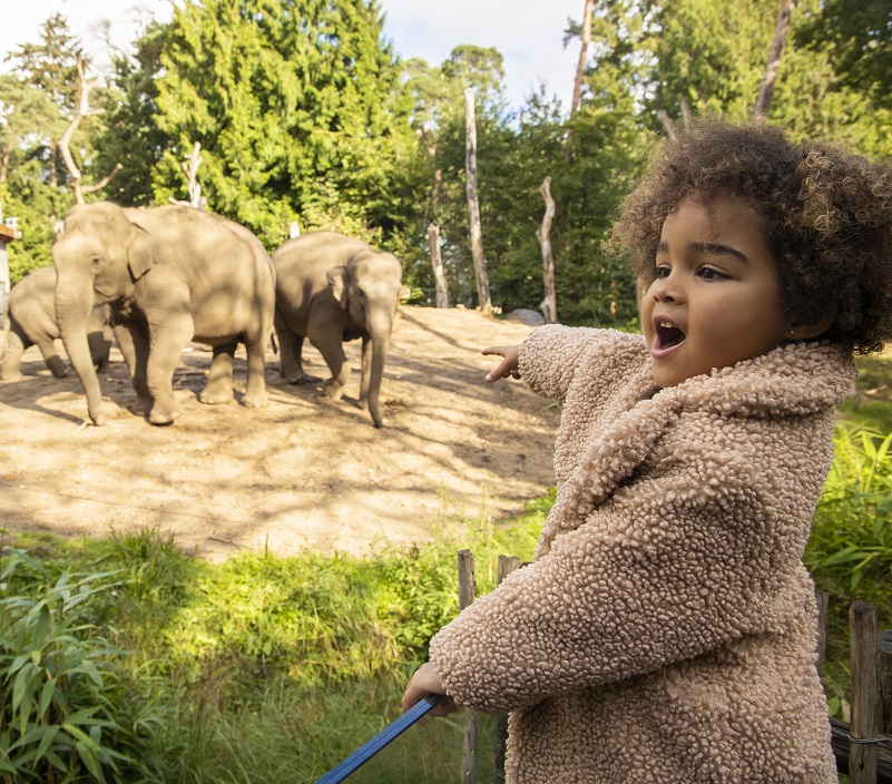 kinderen met prairiehondje