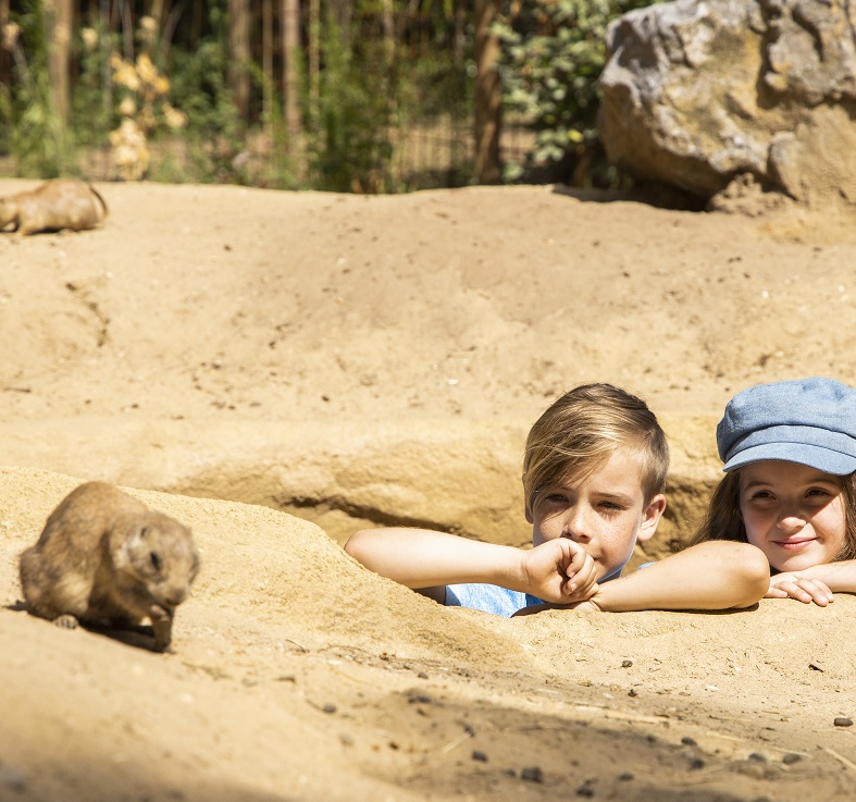 kinderen met prairiehondje
