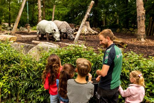 neushoorn en mensen