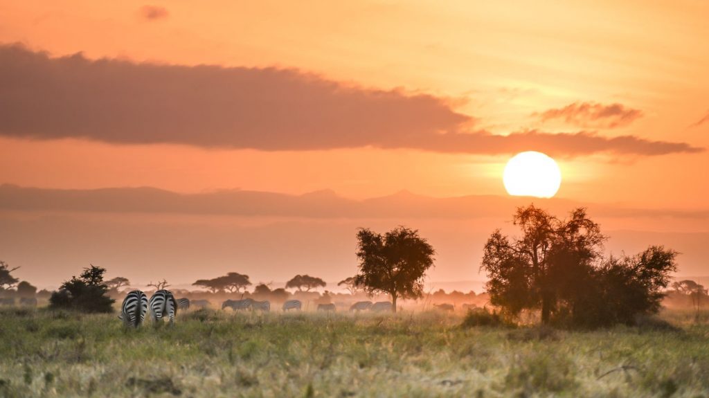 Ruimte voor dier en mens op de Keniaanse savanne | DierenPark Amersfoort