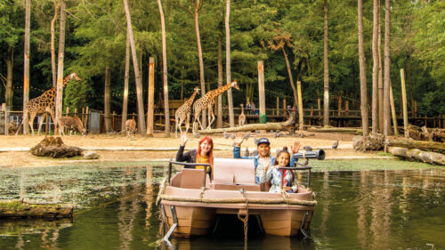Zomervakantie DierenPark Amersfoort
