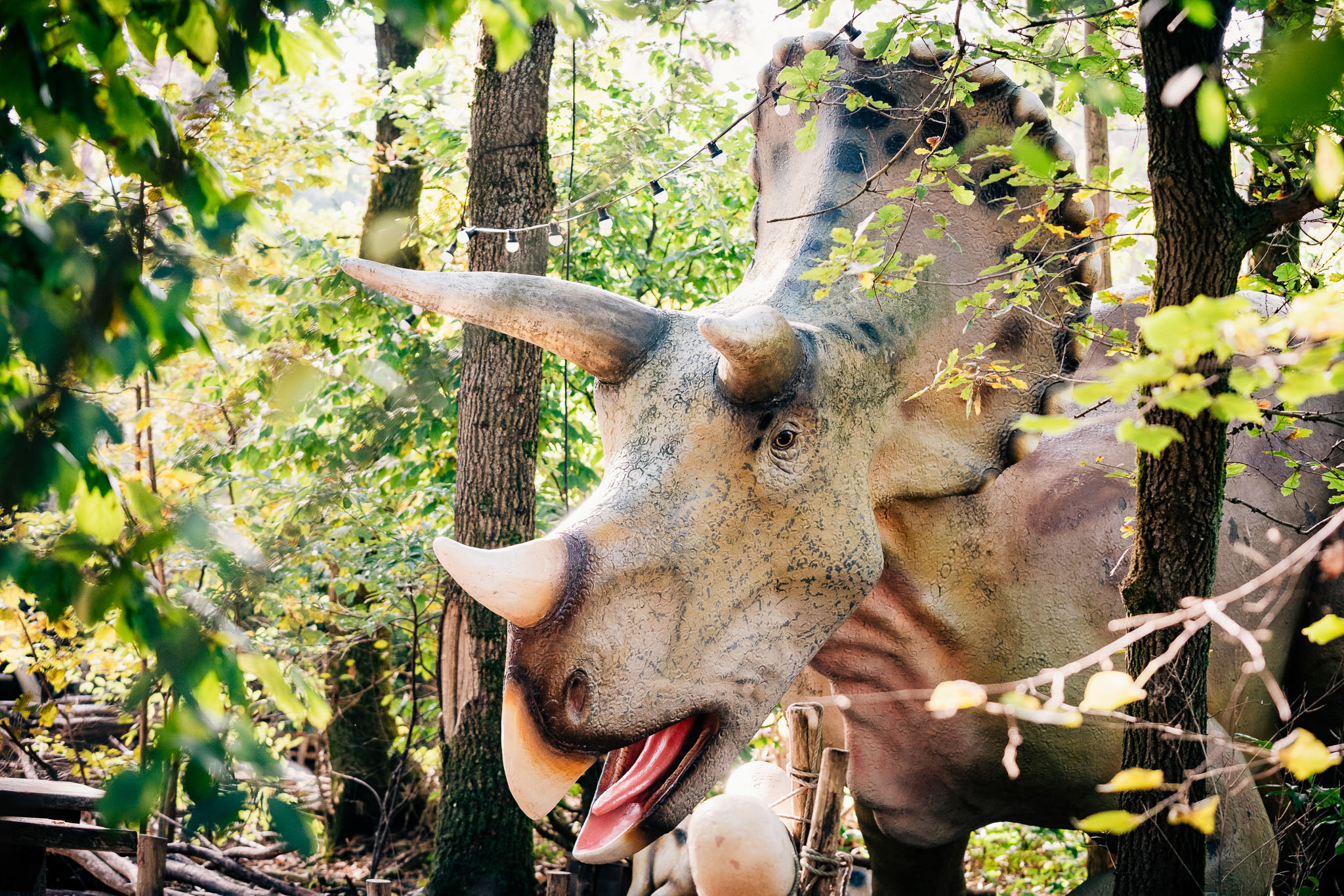 Transparant Gordijn Dinosaurussen - Triceratops Dinosaurussen Speeltje Op Digitale Beeldbewerking Als Een Echte Met Dramatische Scene 171831705