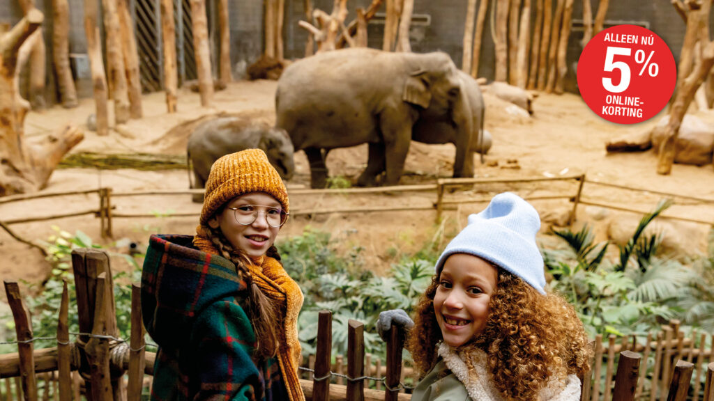 Kerstvakantie - DierenPark Amersfoort