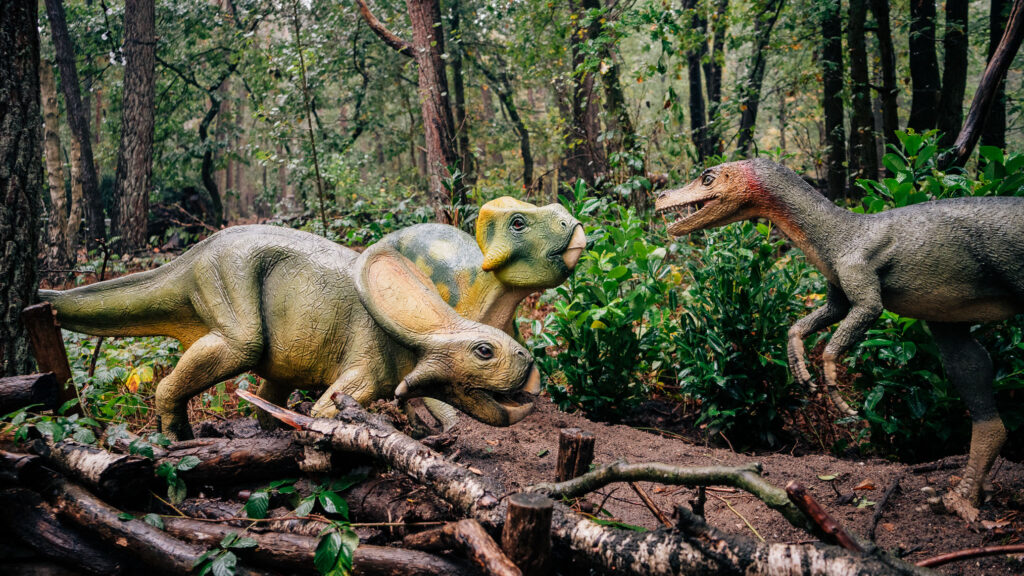 Protoceratops 