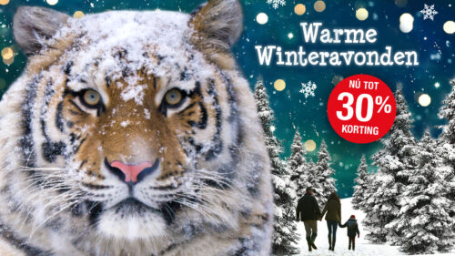Winteravonden-1-1920-x-1080