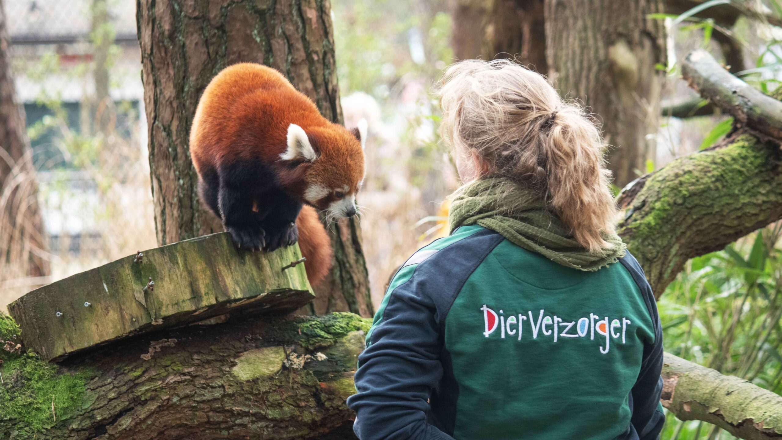 Een Dag In Het Leven Van Een Dierverzorger Blog Dierverzorger Saskia 