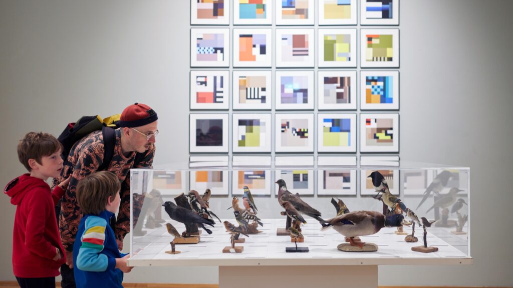 Tentoonstelling 'Vogels en Vissen' in het Mondriaanhuis - foto Aad Hoogendoorn