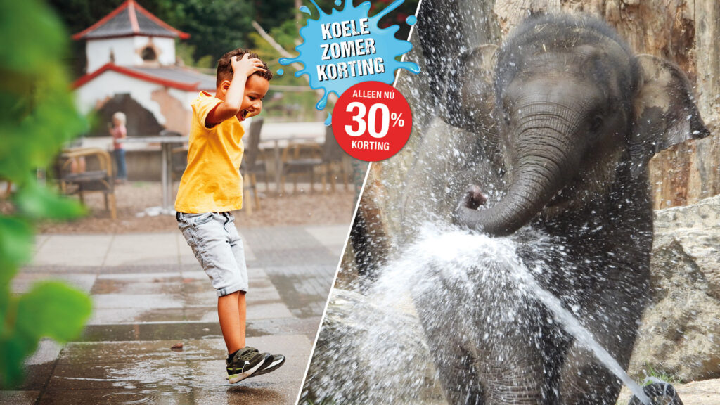 Waterpret - Zomervakantie - DierenPark Amersfoort