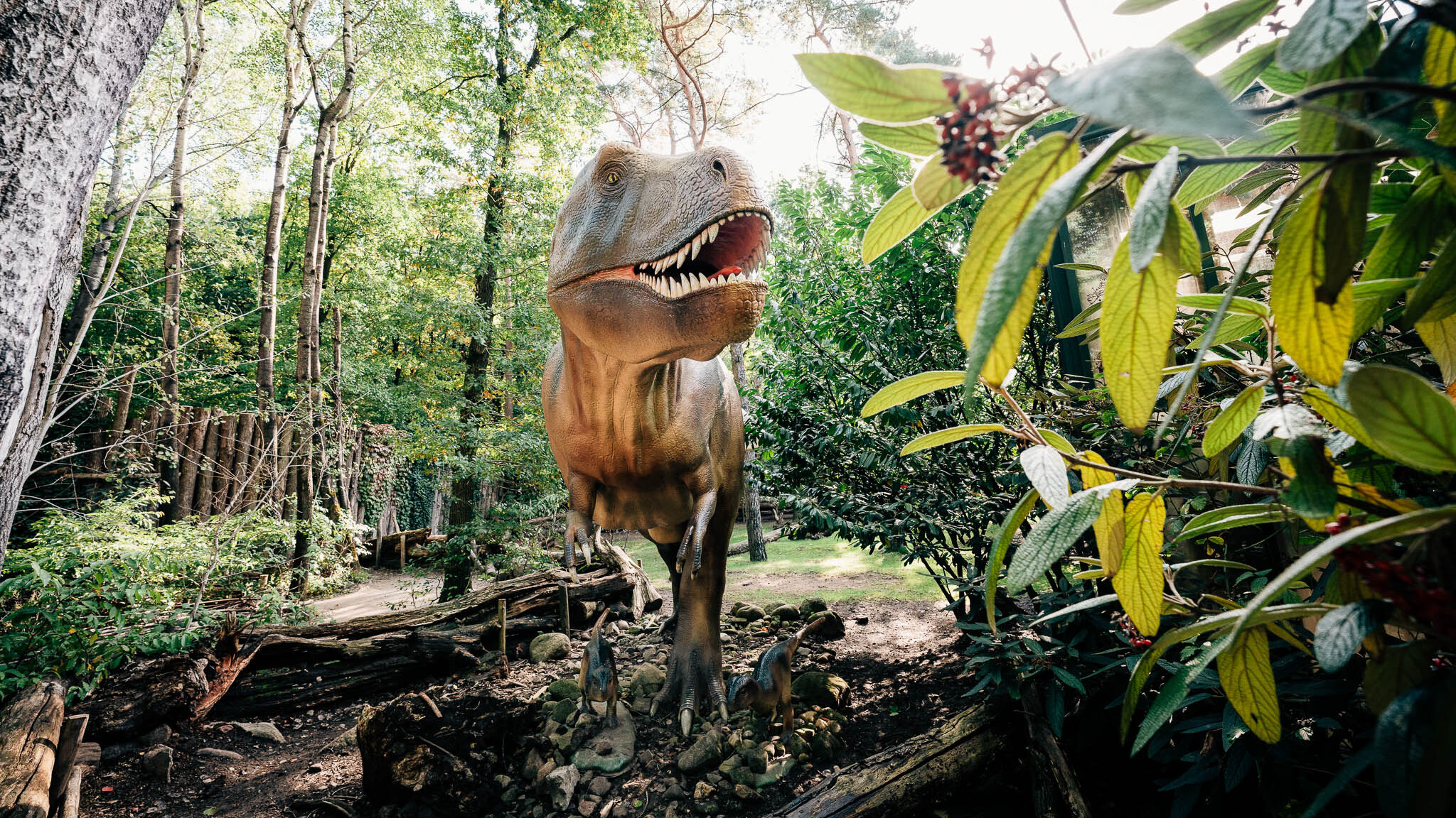 Tyrannosaurus rex - DierenPark Amersfoort
