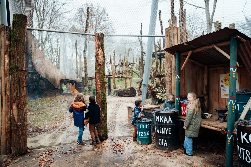 Chimpanseevallei - DierenPark Amersfoort