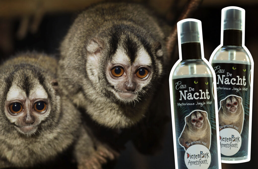 DierenPark Amersfoort lanceert huisparfums waar een luchtje aan zit