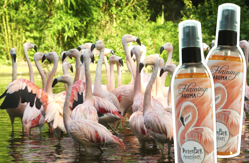DierenPark Amersfoort lanceert huisparfums waar een luchtje aan zit