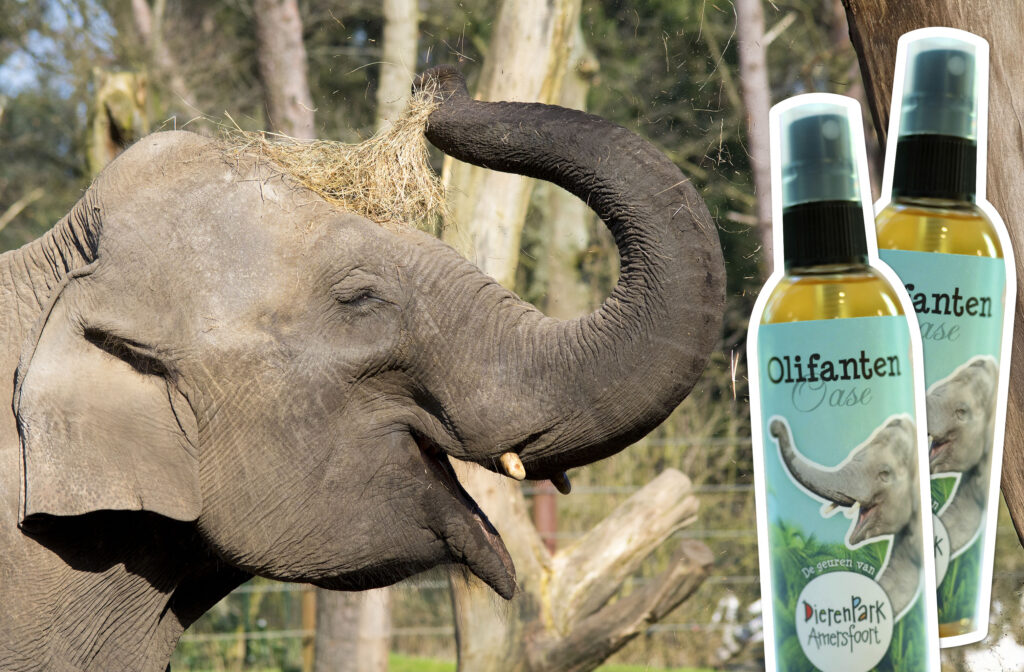 DierenPark Amersfoort lanceert huisparfums waar een luchtje aan zit