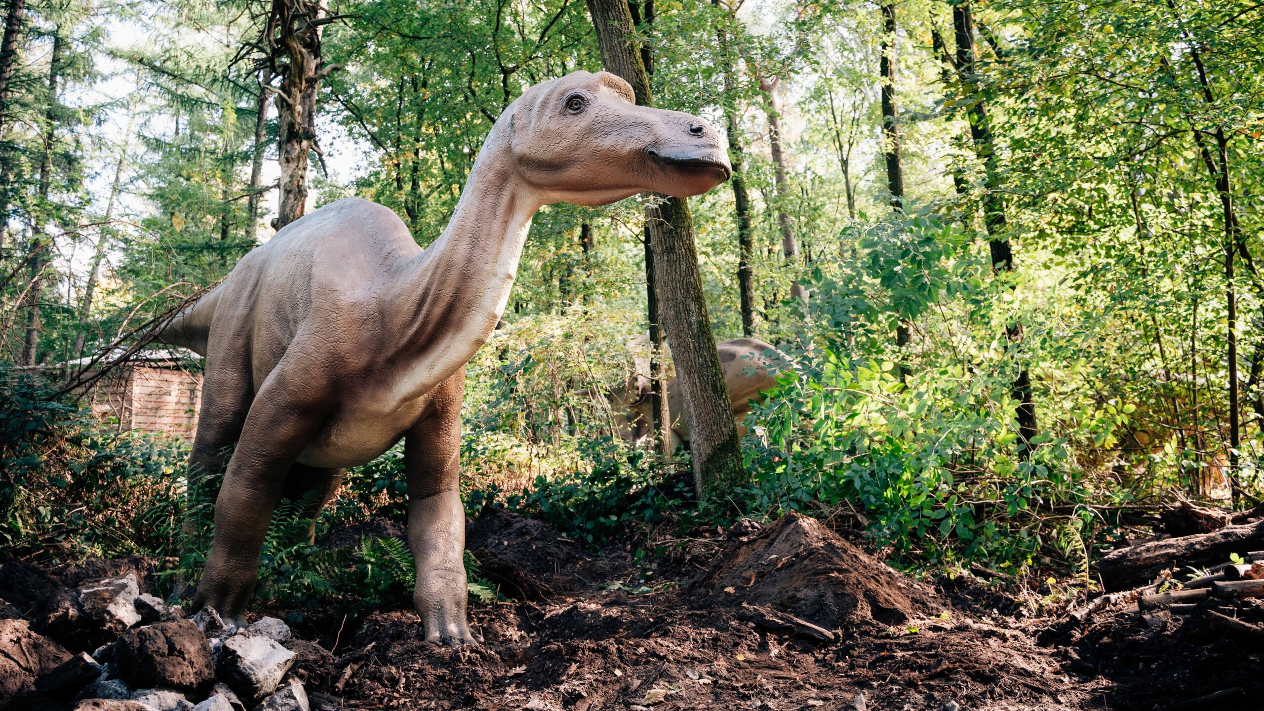 Blog Wat weten we over dino-eieren