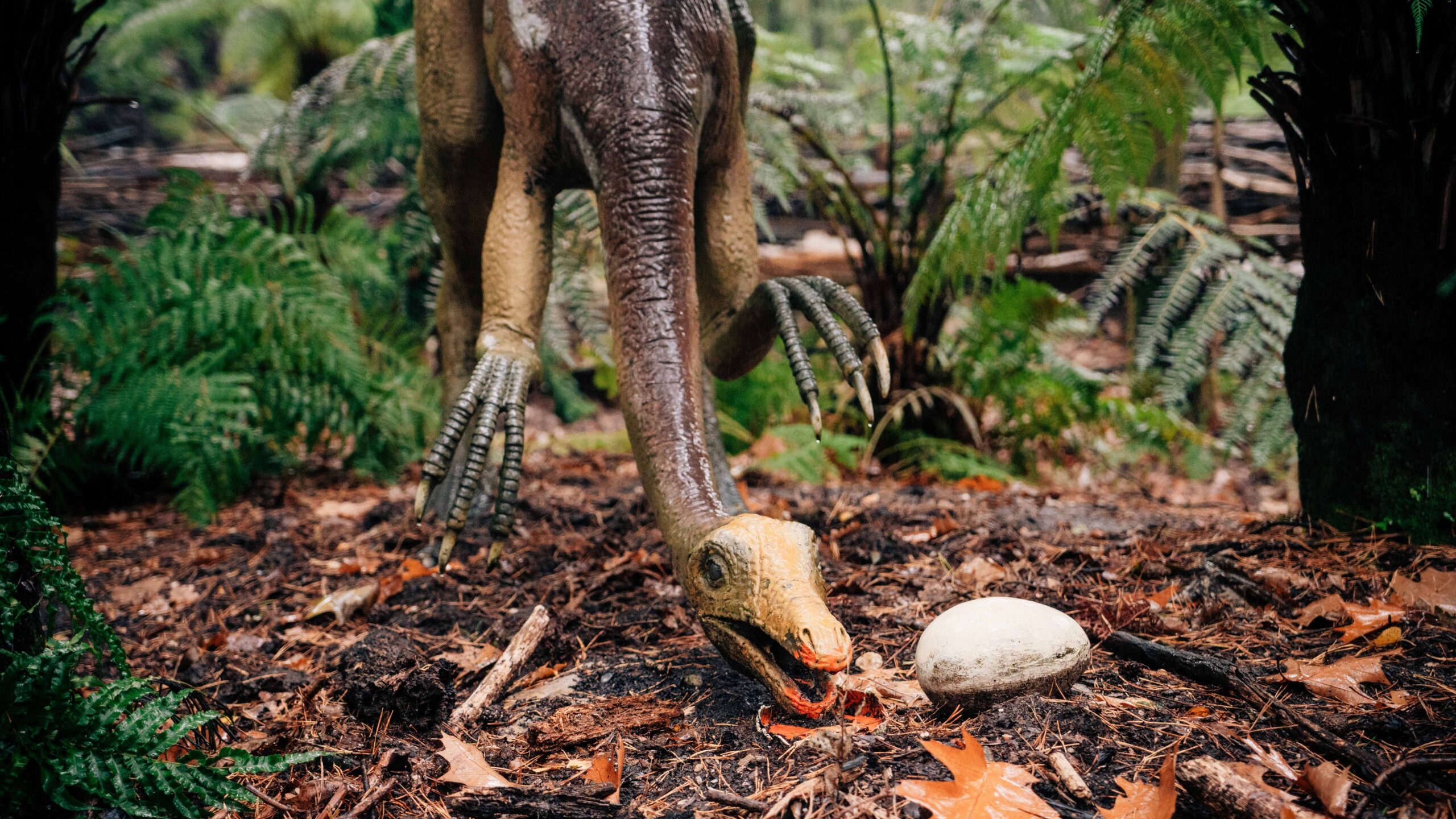 Blog Wat weten we over dino-eieren