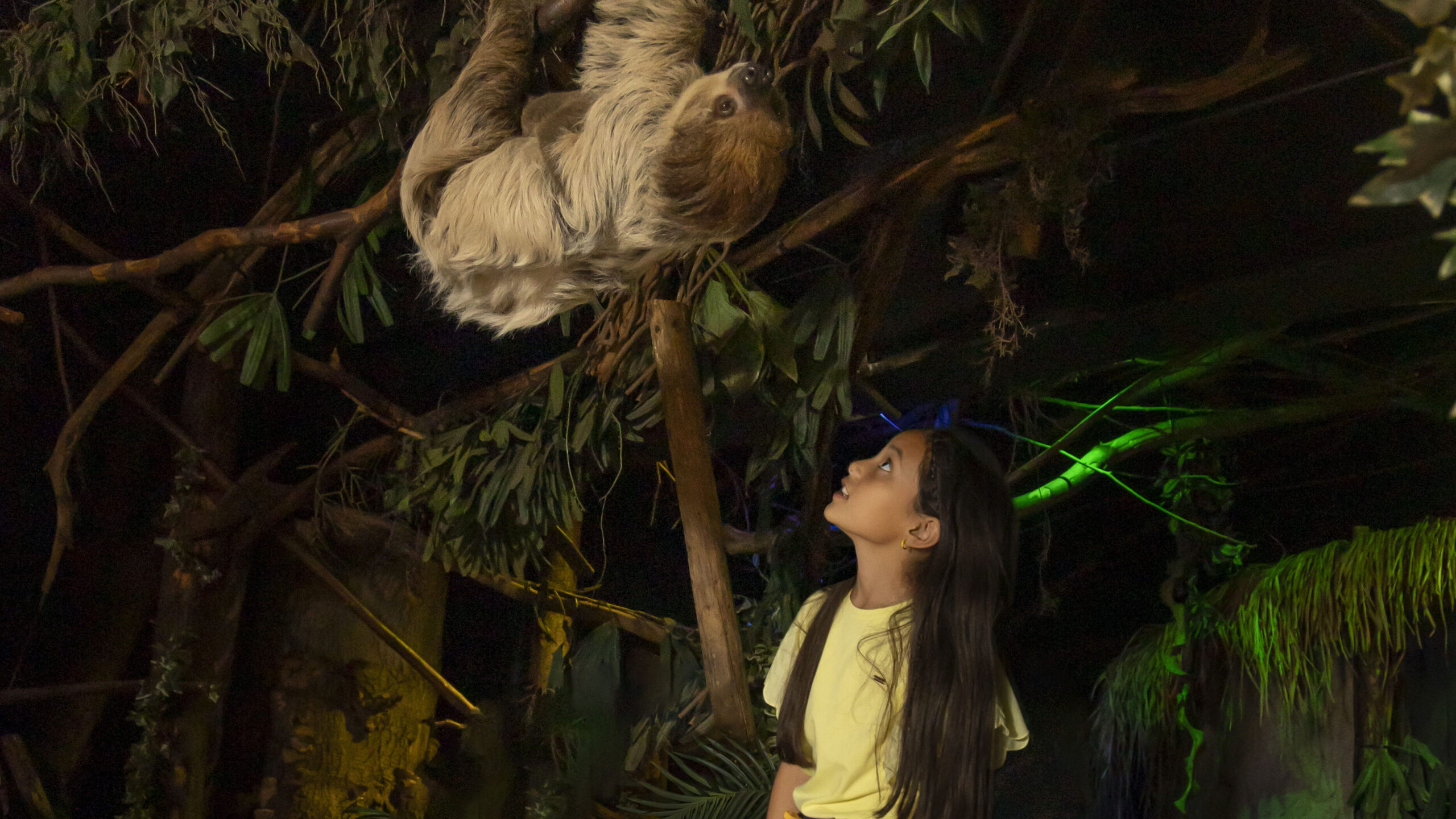 Laat je verrassen door opa en oma: 5 redenen om nog deze maand DierenPark Amersfoort te bezoeken