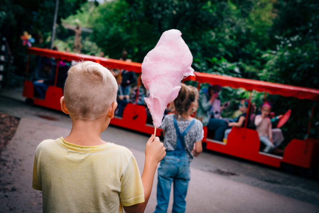 Nieuw evenement: DierenPark Amersfoort organiseert ZOOmer Festival