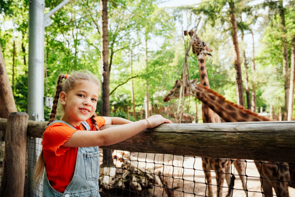 7 manieren om te leren in DierenPark Amersfoort – een avontuurlijk dagje uit in de dierentuin