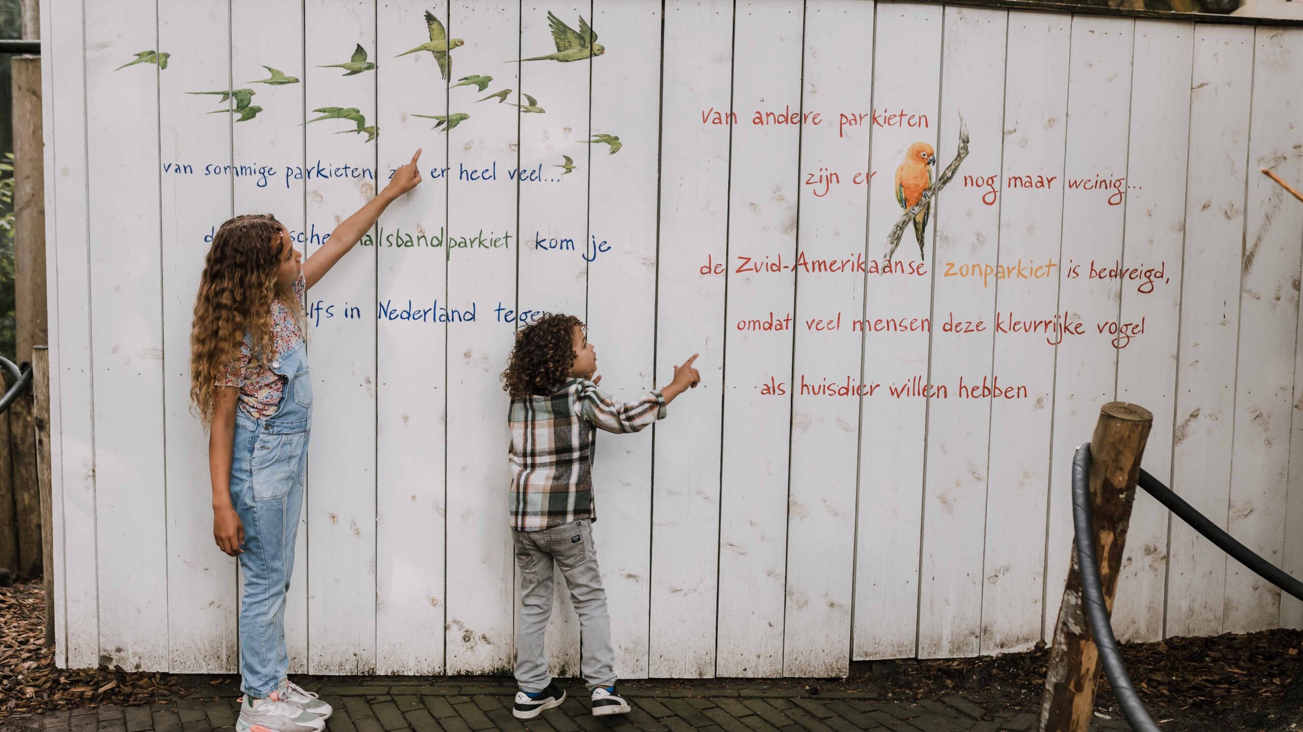 7 manieren om te leren in DierenPark Amersfoort – een avontuurlijk dagje uit in de dierentuin