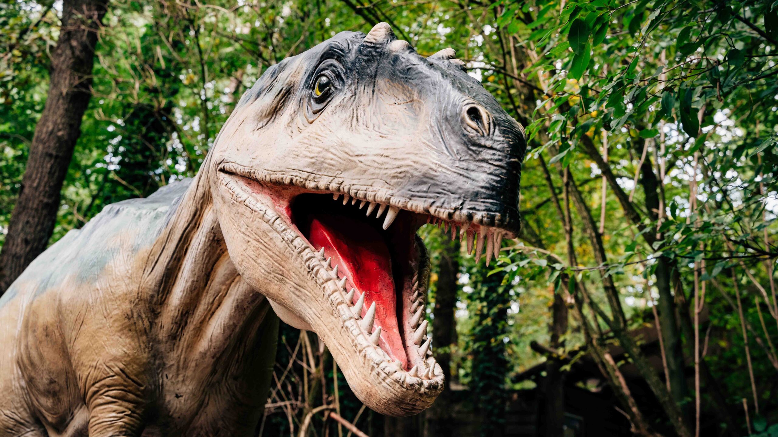 Allosaurus