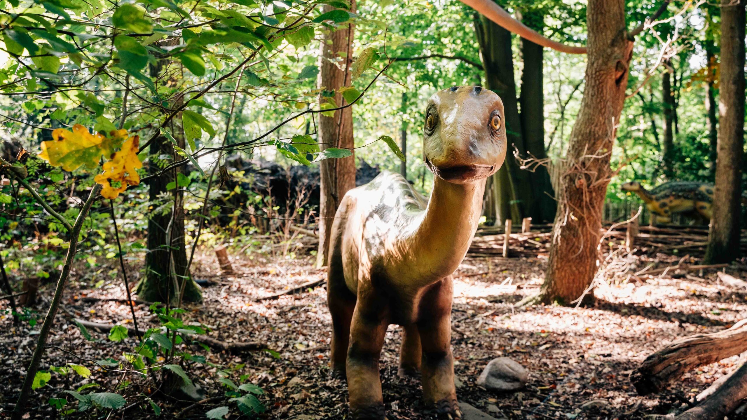 Diplodocus