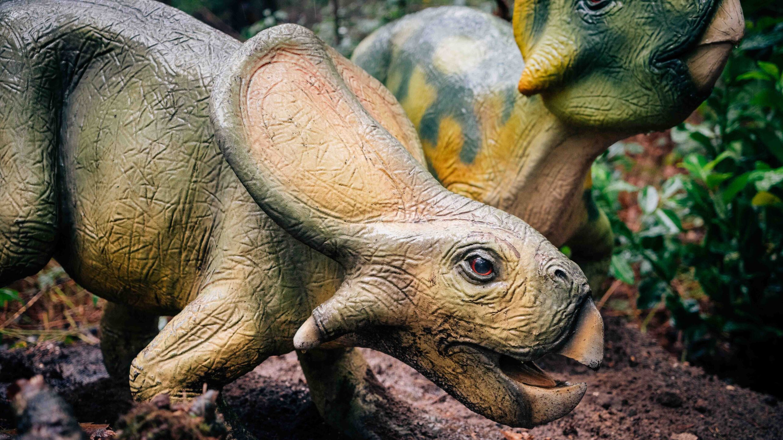 Protoceratops