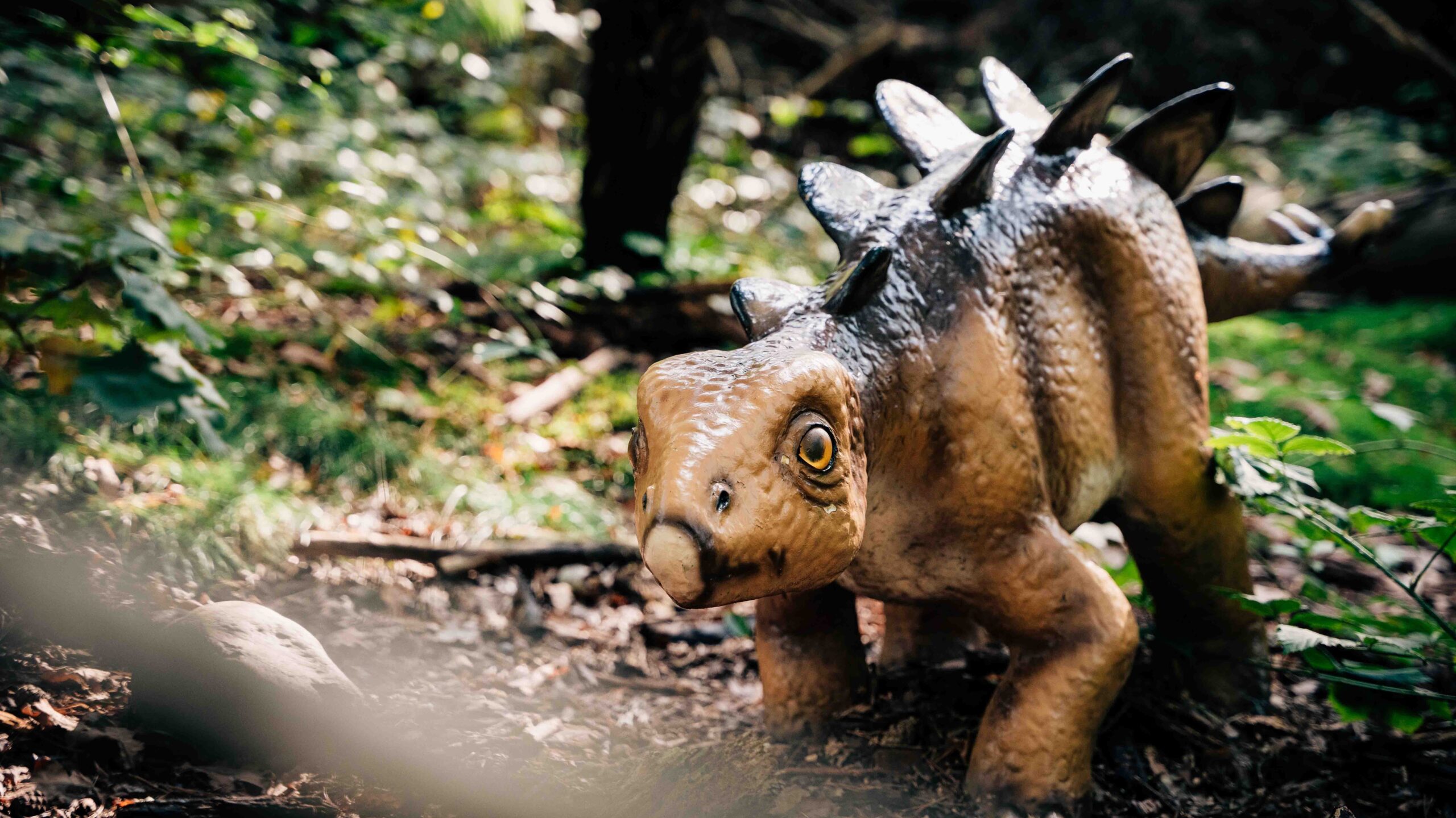 Stegosaurus