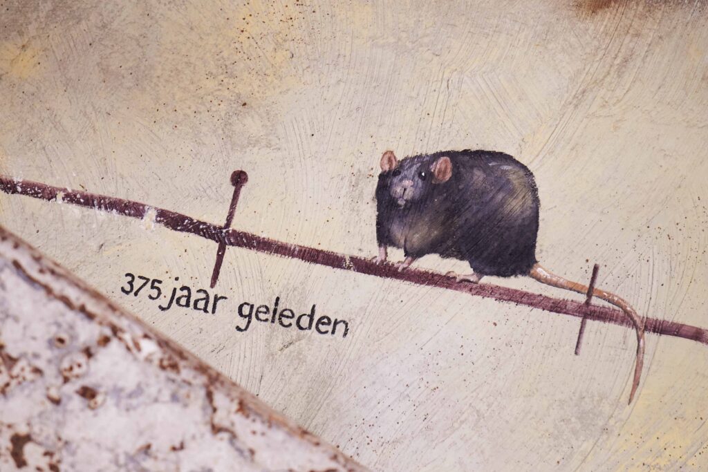 Deze kerstvakantie: Opent het nieuwe rattenverblijf