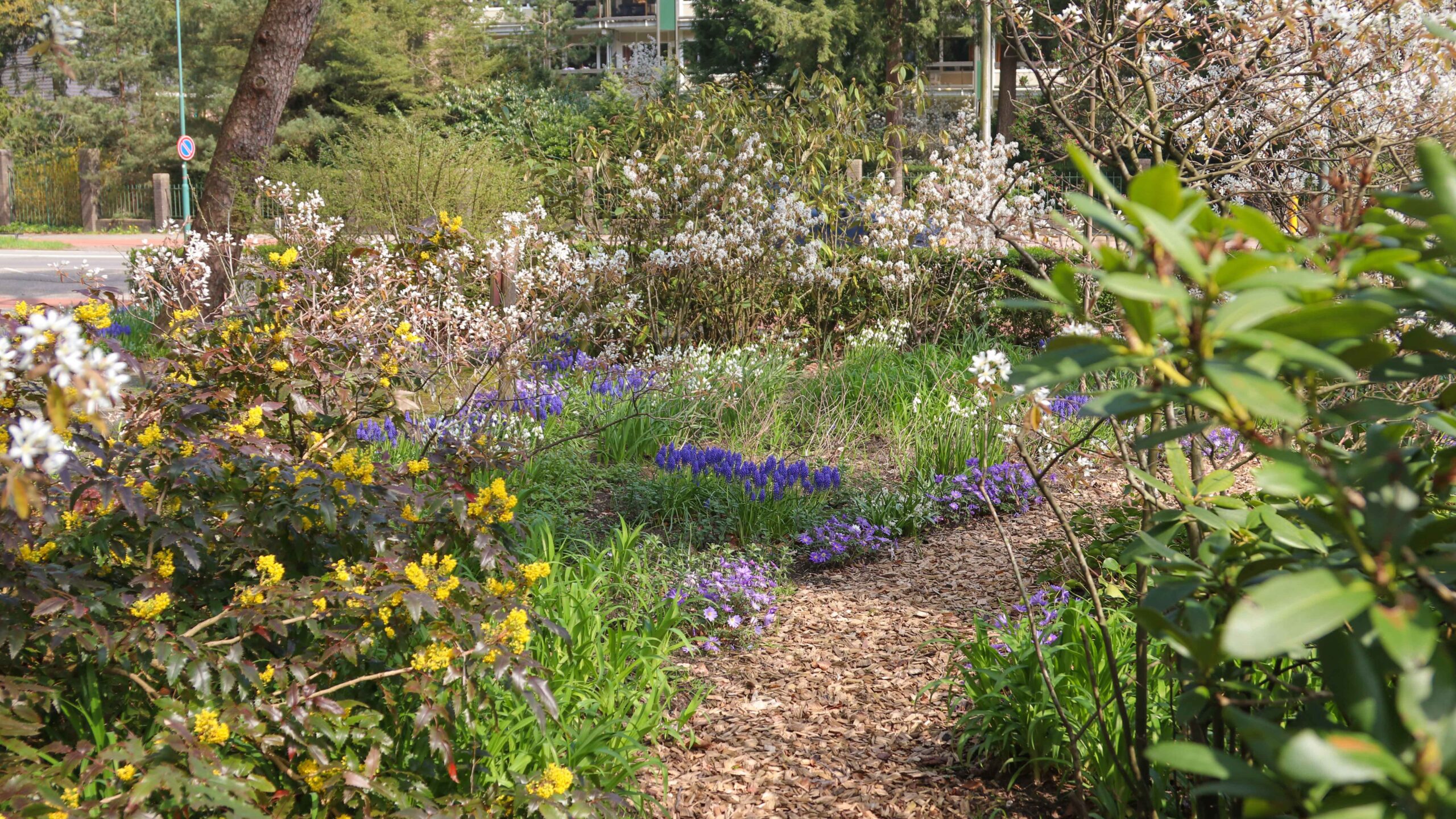 Bescherm de natuur in jouw buurt - DierenPark Amersfoort
