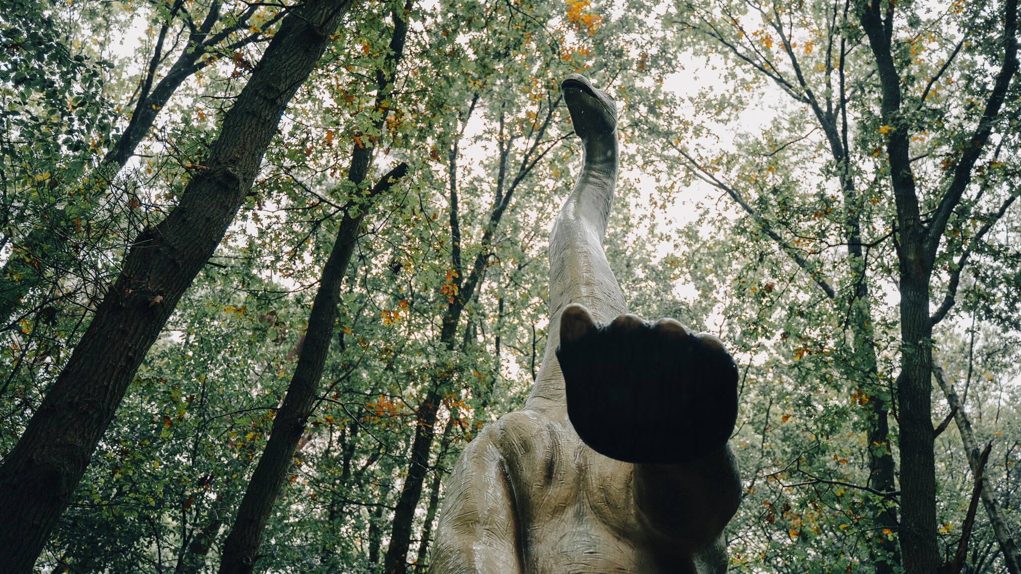 Blog | Dat is bijna vijf keer zo groot als de pootafdruk van een Aziatische olifant! | DierenPark Amersfoort