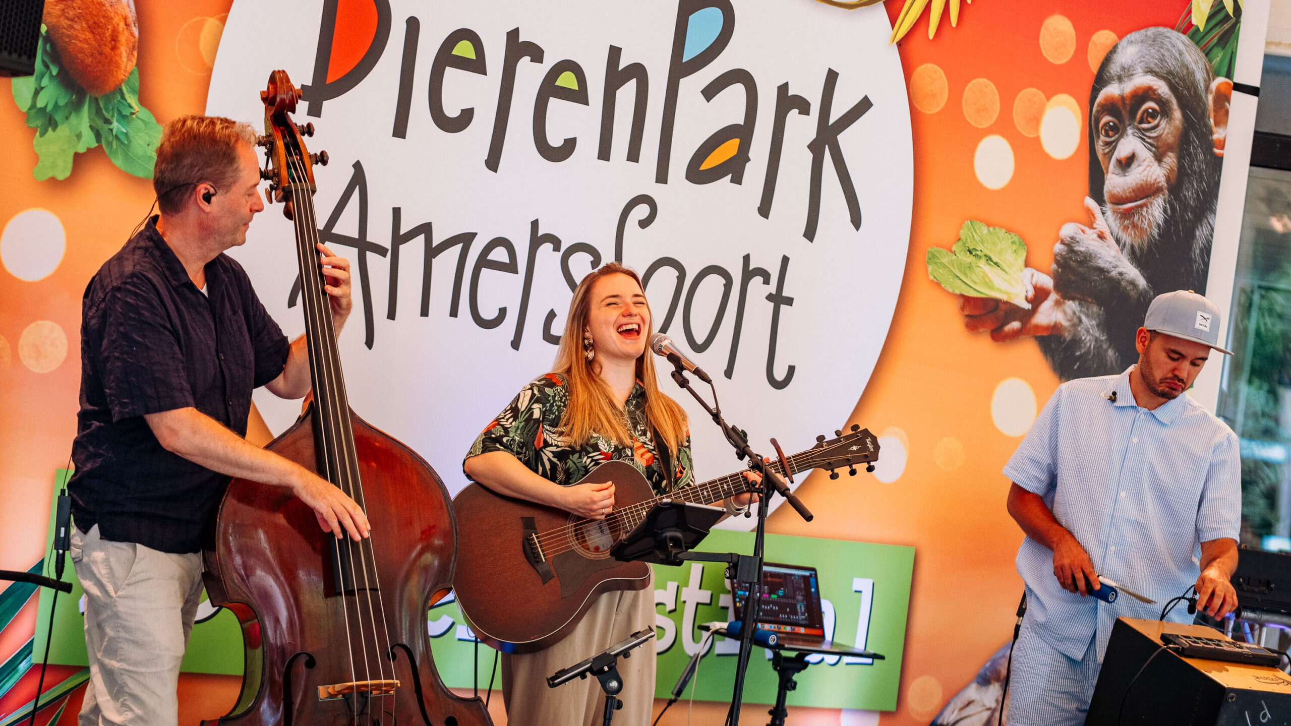 Livemuziek