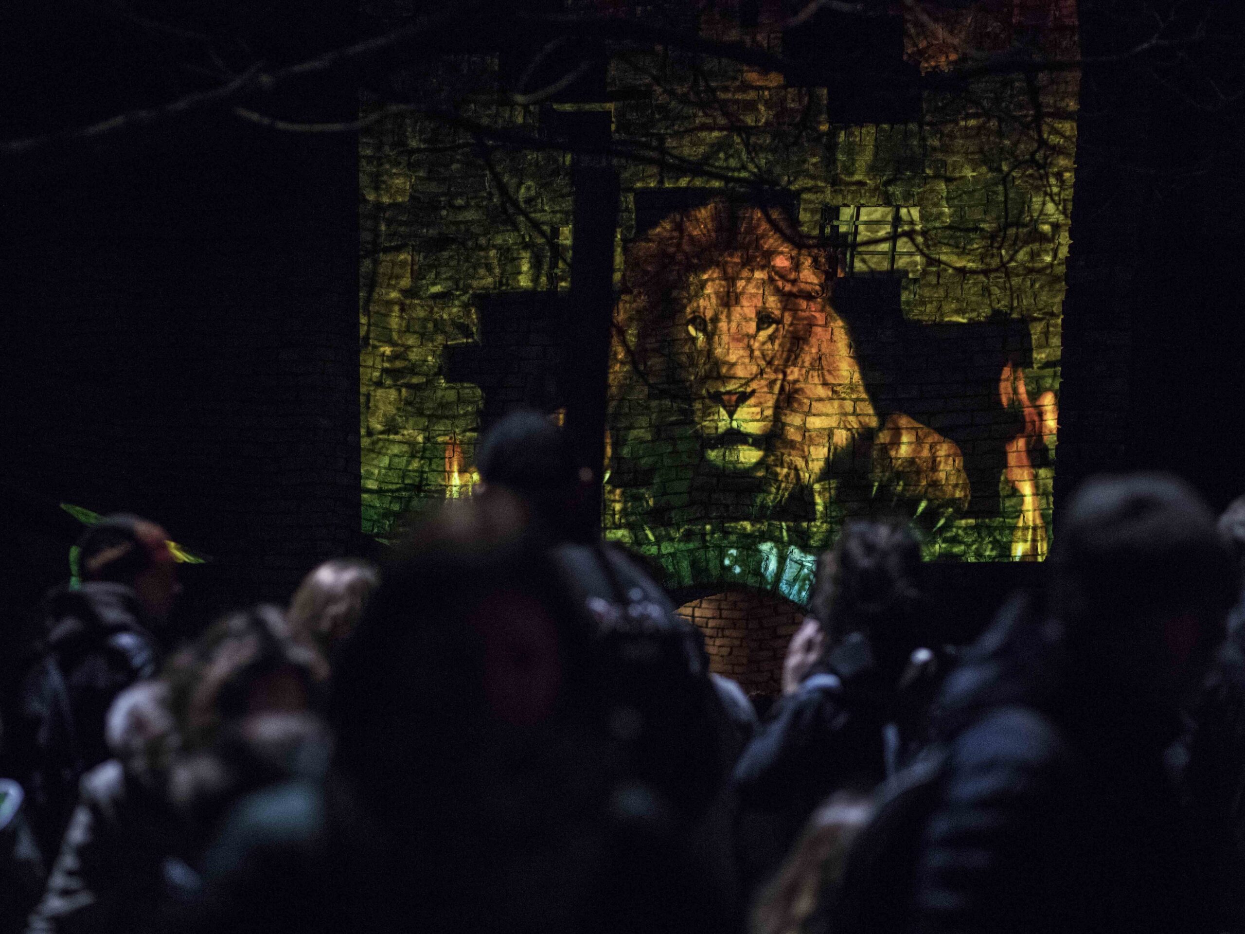 Warme Winteravonden 2023 - DierenPark Amersfoort